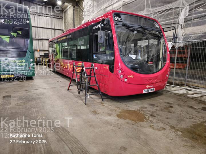 Image of Carousel Buses vehicle 442. Taken by Katherine T at 12:32:28 on 2025.02.22
