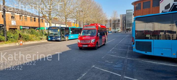Image of Carousel Buses vehicle 977. Taken by Katherine T at 11:36:42 on 2022.03.08