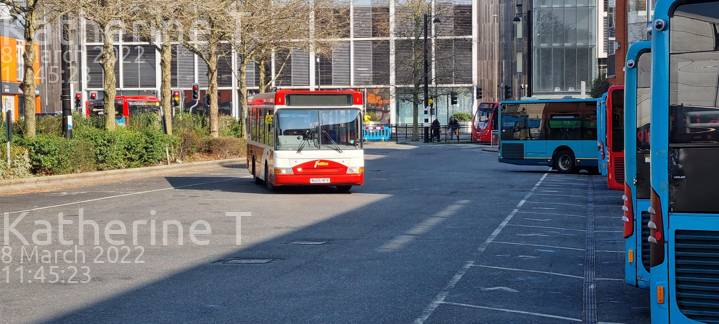 Image of Redline Buses vehicle 52. Taken by Katherine T at 11:45:23 on 2022.03.08